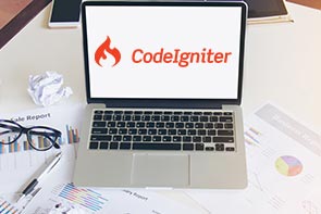 codeignitor-development